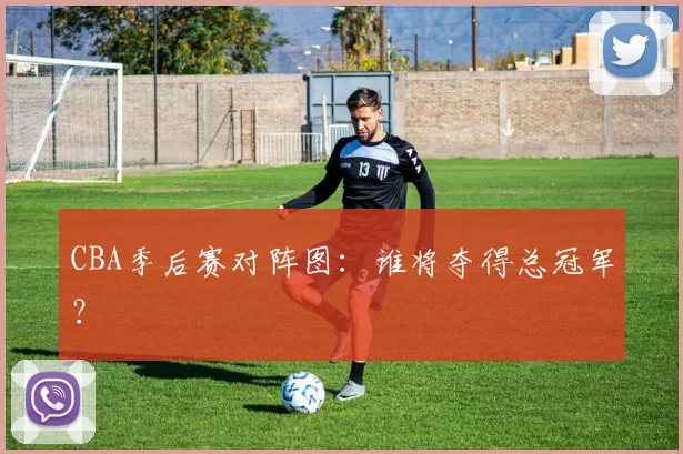 CBA季后赛对阵图:谁将夺得总冠军?