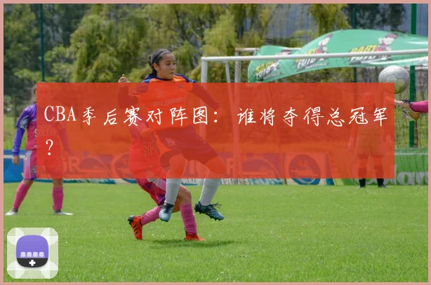 CBA季后赛对阵图:谁将夺得总冠军?